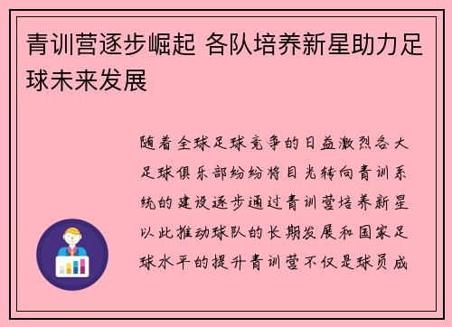 青训营逐步崛起 各队培养新星助力足球未来发展